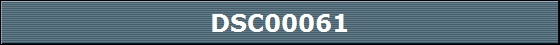 DSC00061