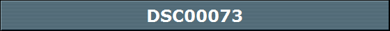 DSC00073