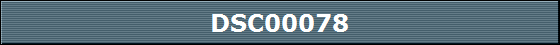 DSC00078
