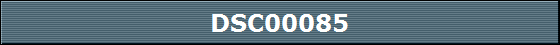DSC00085