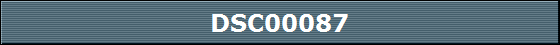 DSC00087