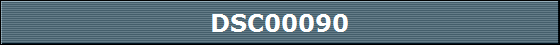 DSC00090