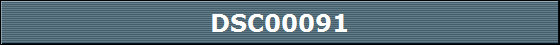 DSC00091