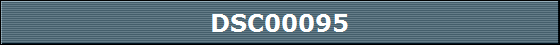 DSC00095