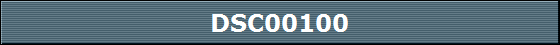 DSC00100