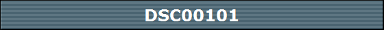 DSC00101