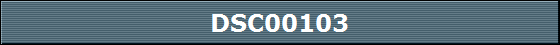 DSC00103