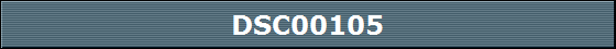 DSC00105