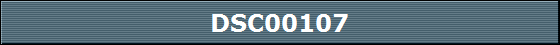 DSC00107