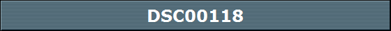 DSC00118