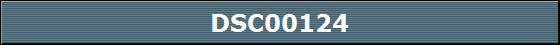 DSC00124