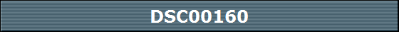 DSC00160