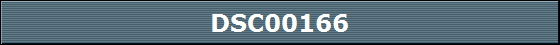 DSC00166