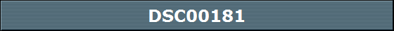 DSC00181