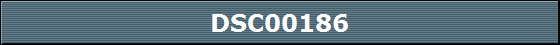 DSC00186
