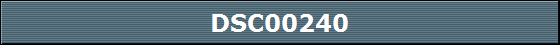 DSC00240