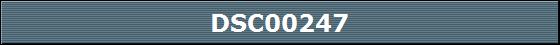 DSC00247