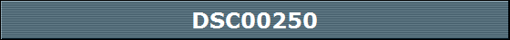DSC00250