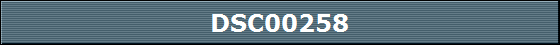 DSC00258