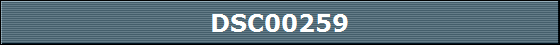 DSC00259