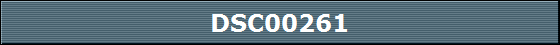 DSC00261
