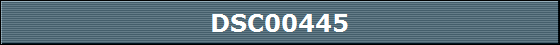 DSC00445