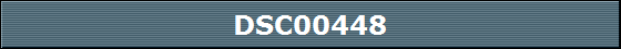 DSC00448