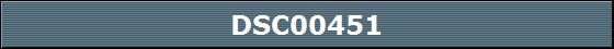 DSC00451