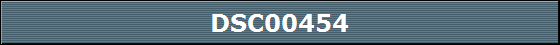 DSC00454