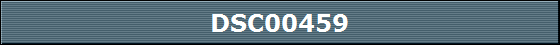 DSC00459