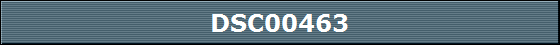 DSC00463