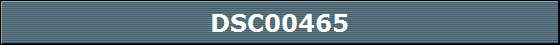 DSC00465