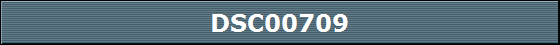 DSC00709