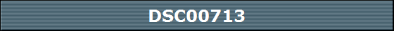 DSC00713